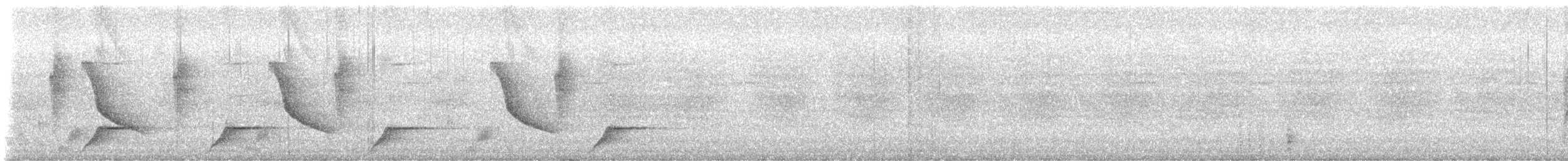 Melodious Blackbird - ML643214344
