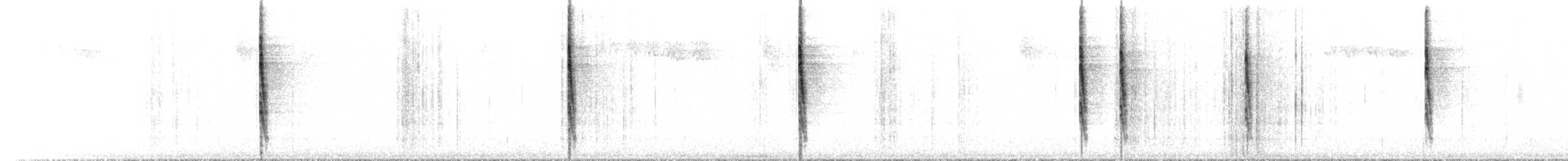 タイヘイミソサザイ - ML643214732