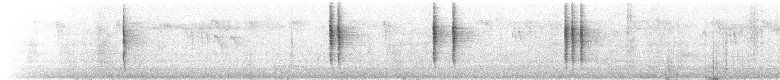 Pacific Wren - ML643214842