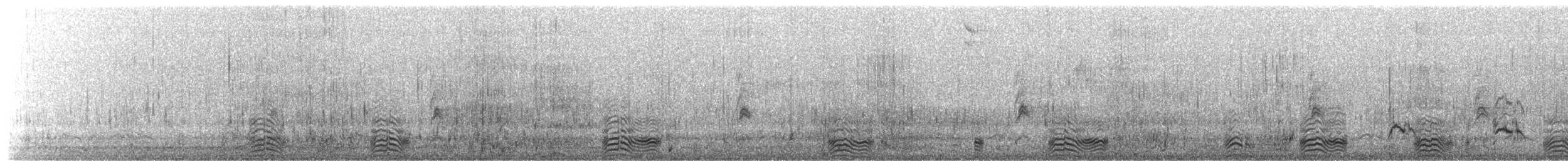 Common Murre - ML643214899