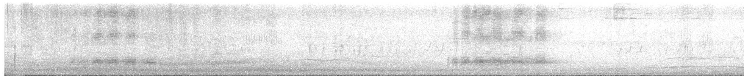 White Wagtail - ML643215090