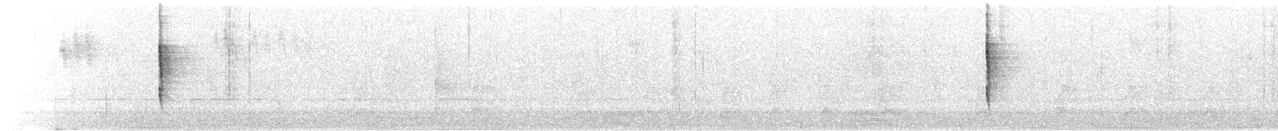 Pacific Wren - ML643215126