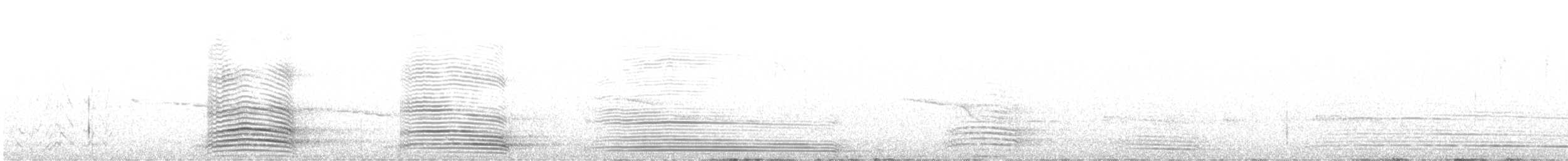 Australian Raven - ML643216001
