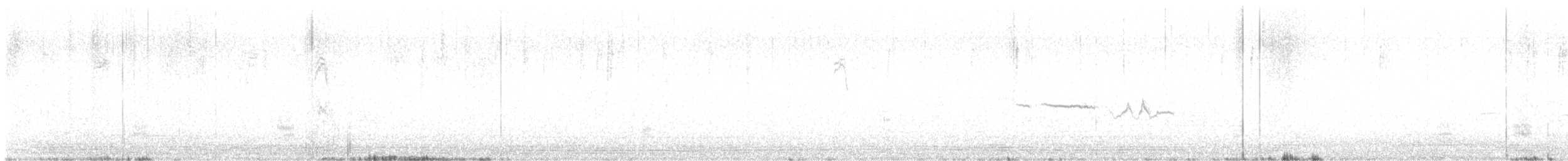 Gadwall - ML643216783