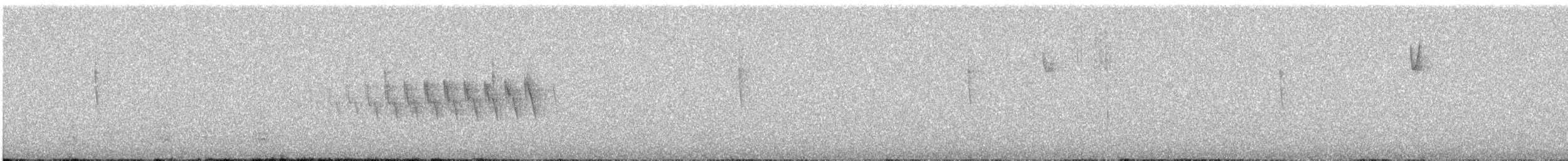 Grace's Warbler - ML643217903