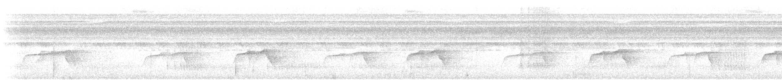Dot-backed Antbird - ML643218077