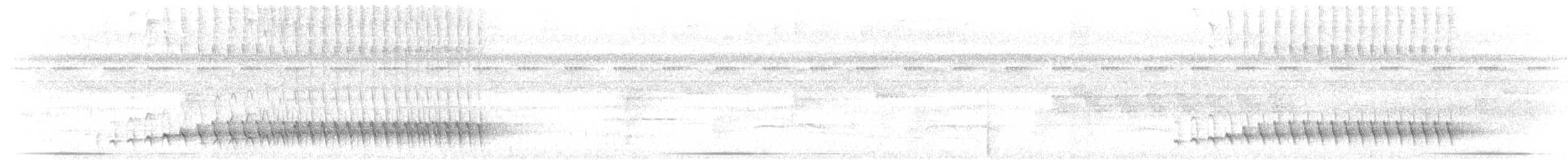 Plumbeous Antbird - ML643218111