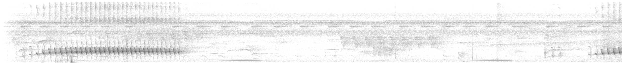 Plumbeous Antbird - ML643218112