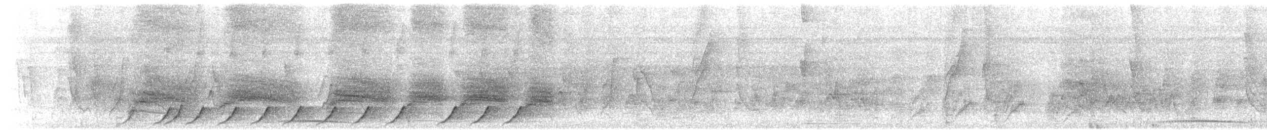 Black-capped Donacobius - ML643218121