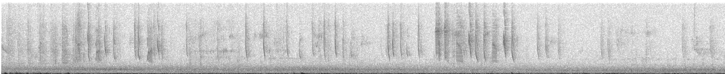 Broad-tailed Hummingbird - ML643218228