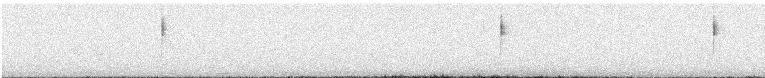 ルシーアメリカムシクイ - ML643218373