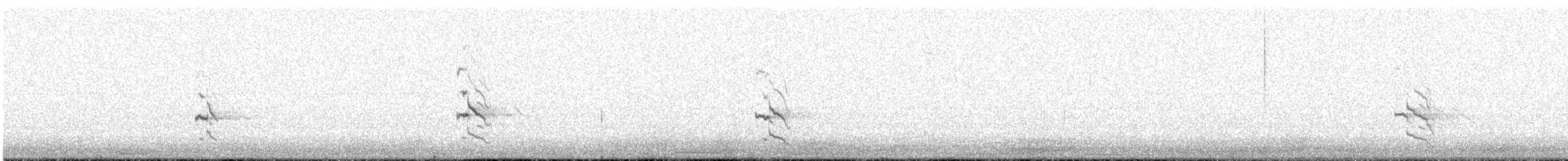 ミナミハシボソキツツキ - ML643218384