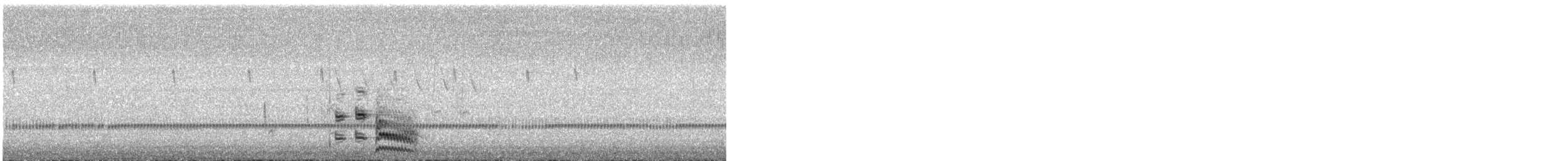 Polluela Negruzca - ML643218478