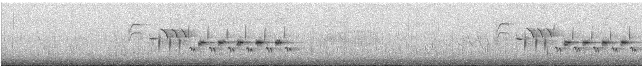 Bewick's Wren - ML643218542