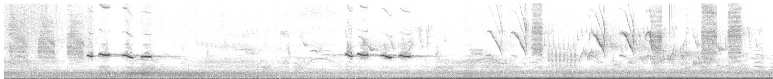hvitbrynkrattskvett - ML643218855