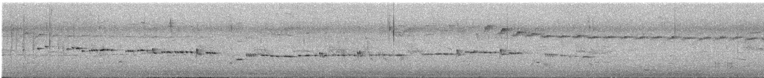 Gray Gerygone - ML643219832