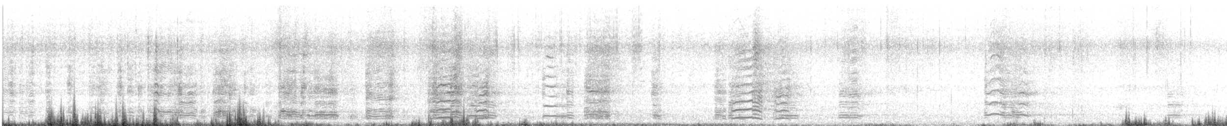 Graylag Goose (Domestic type) - ML643220197