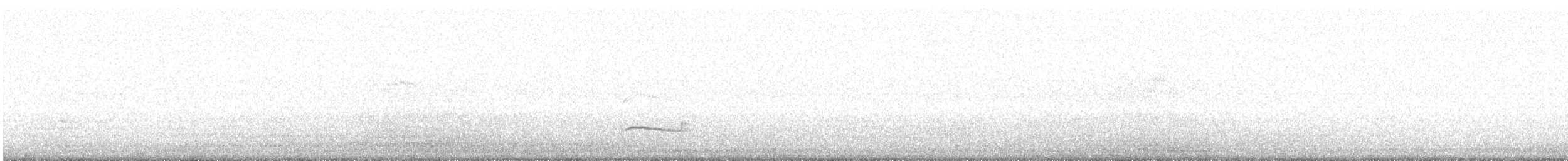 Pluvier doré - ML643221268