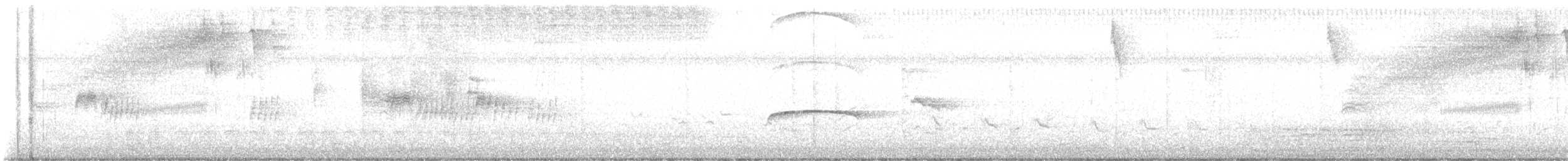 Puerto Rican Flycatcher - ML643221471