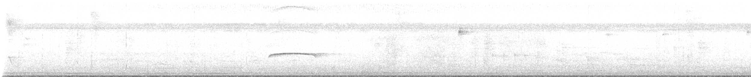 Puerto Rican Flycatcher - ML643221504