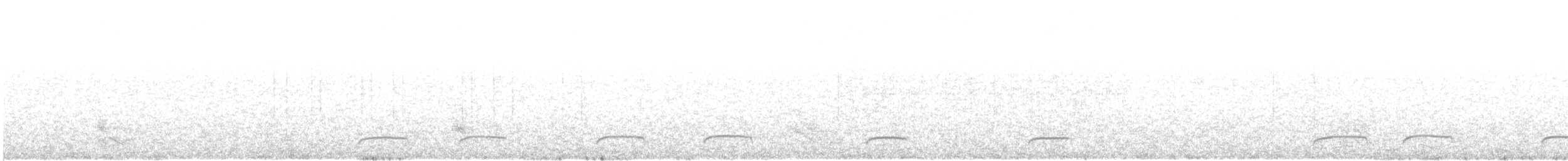 Chorlito Carambolo - ML643221930