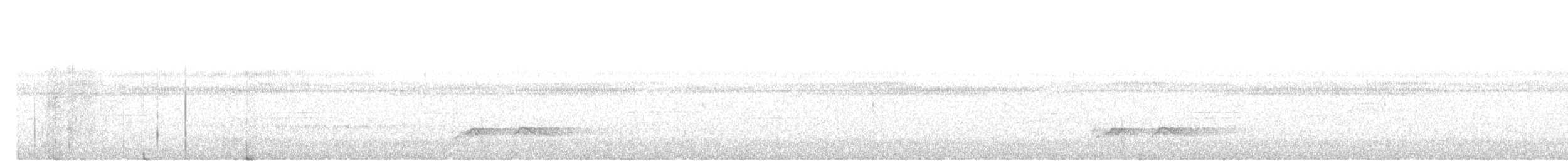 Ornate Pitta - ML643222866