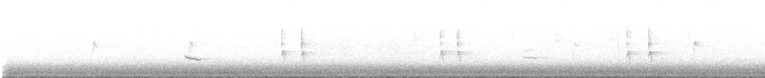 Einsiedler-Musendrossel - ML643223780