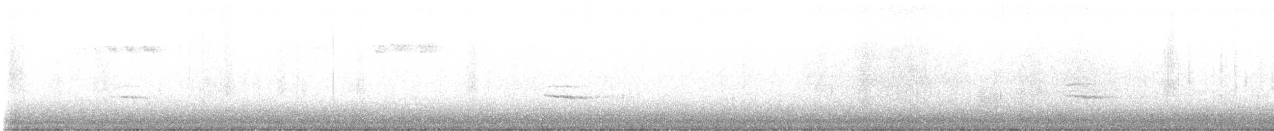 Einsiedler-Musendrossel - ML643223781