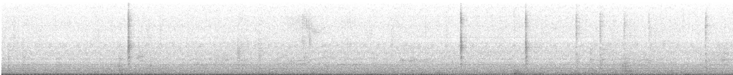 Brewer's Blackbird - ML643225020