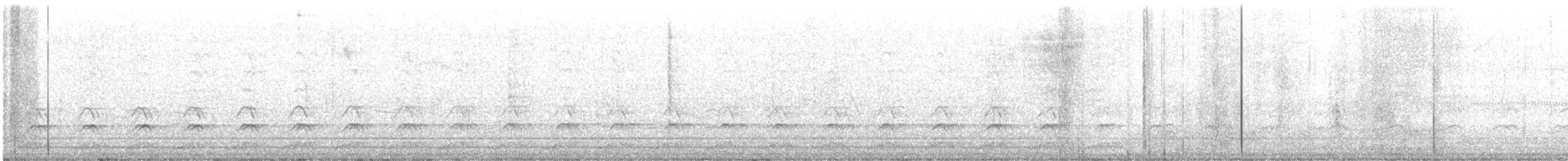 Western Gull - ML643225121