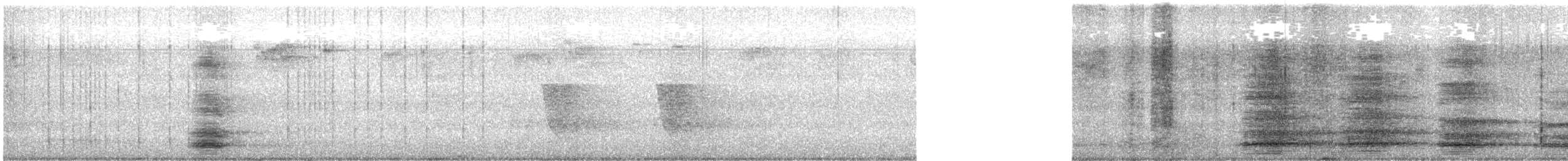 Forest Raven - ML643225765