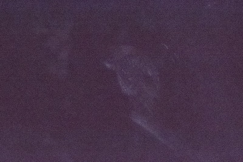 Tawny Owl (Maghreb) - ML643226832