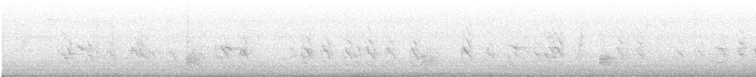 ホンセイインコ - ML643228051