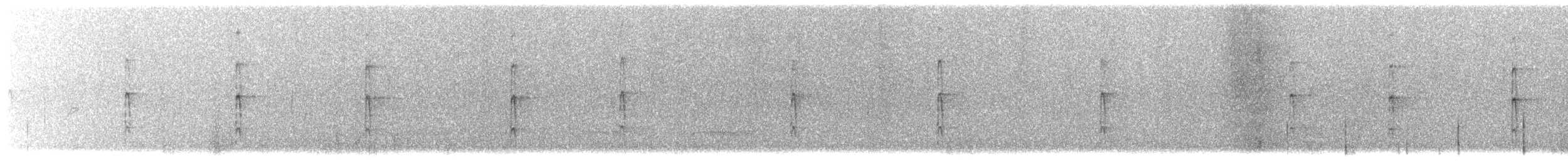 strakapoud velký [skupina major] - ML643228320