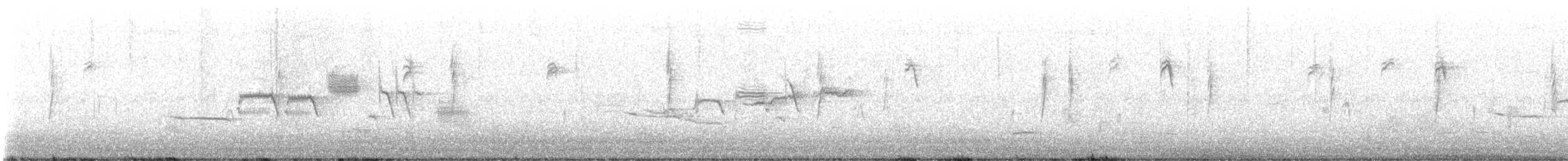 hvitkronespurv - ML643228506