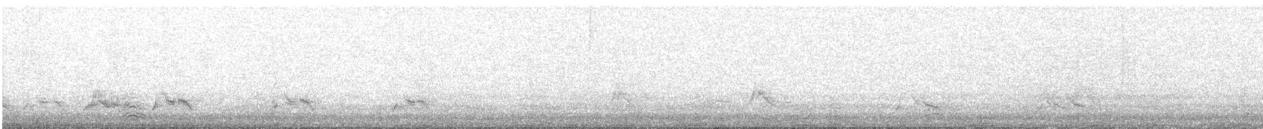 ウミガラス - ML643229094