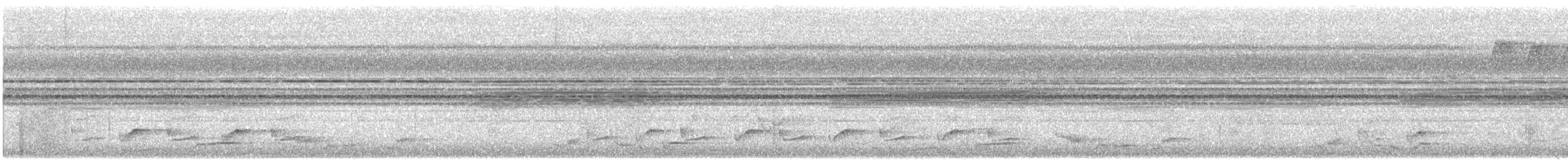 ズアカサイホウチョウ - ML643229614