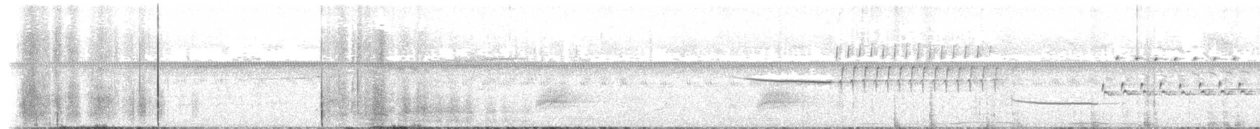 Bachman's Sparrow - ML643230538