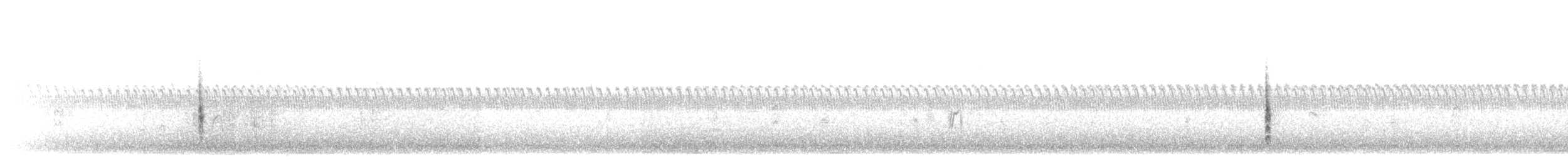 Marsh Wren - ML643230885