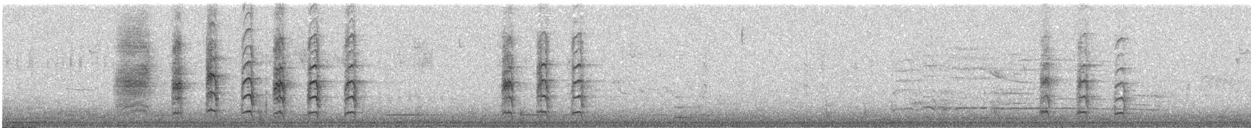 Woodhouse's Scrub-Jay - ML643231519