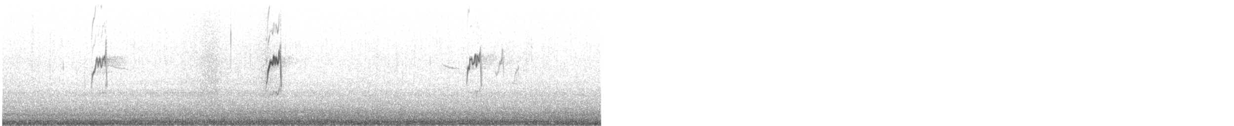 Rock Pipit (Western) - ML643231921