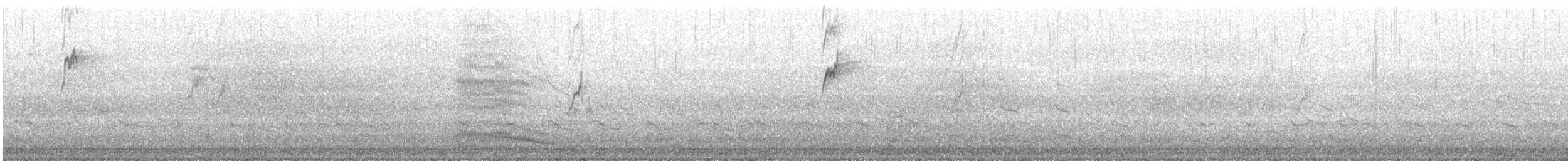 Rock Pipit (Western) - ML643231922
