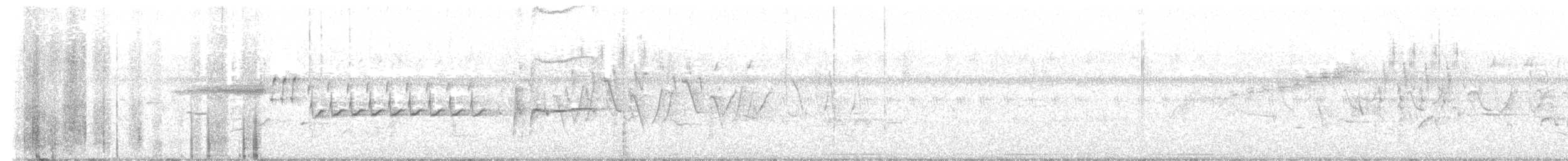 Bachman's Sparrow - ML643232082