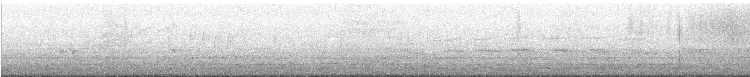 Long-billed Dowitcher - ML643232872