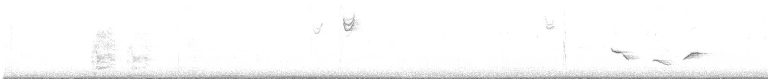 Chingolo Zorruno (grupo schistacea) - ML643235724