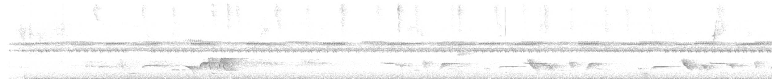 Whiskered Wren - ML643235863