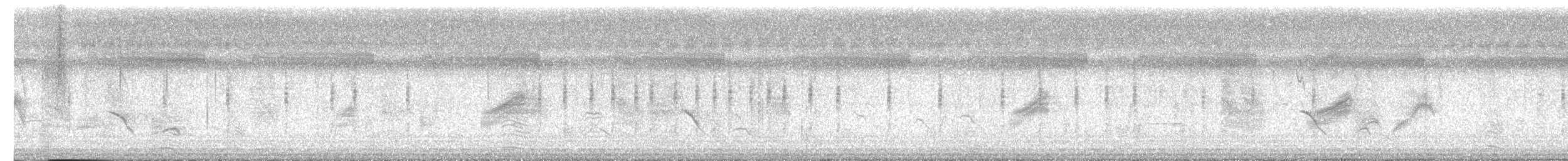 חרגולן Locustella בלתי-מזוהה - ML643236295
