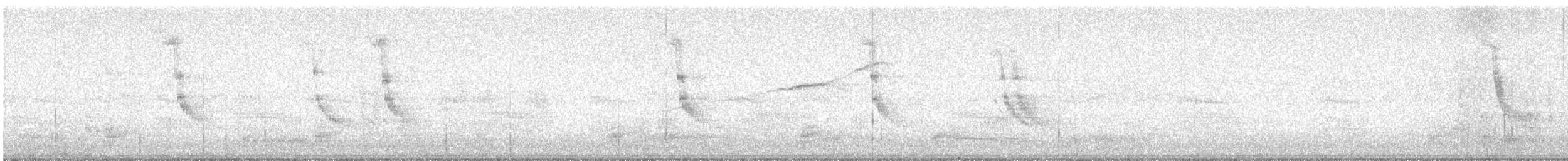 ムジホシムクドリ - ML643237808