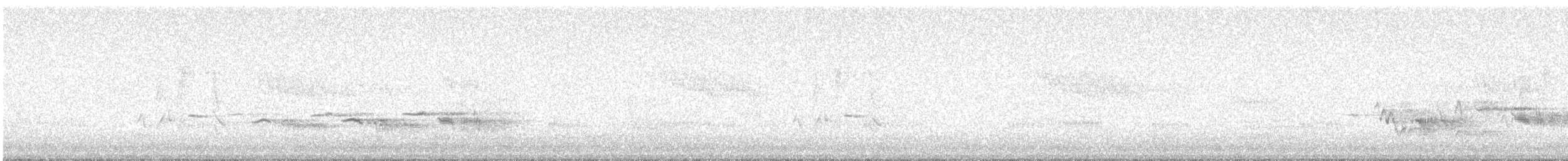 イソヒヨドリ - ML643237810