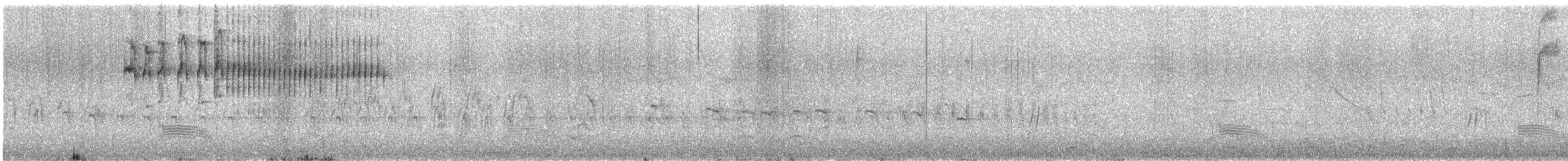 Tyranneau suiriri - ML643238771